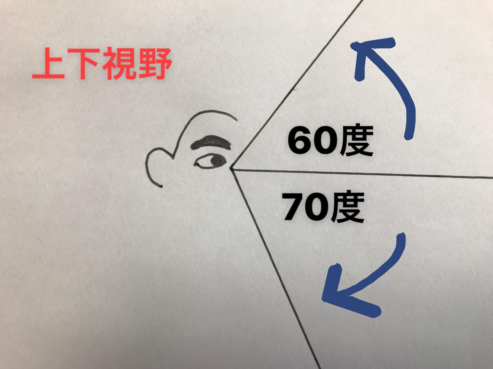 視野について（中心視と周辺視野） ビジョントレーニング kizukismile